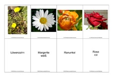 Blumen-Memo-Aufdeckspiel-7.pdf